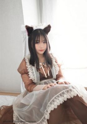 完美世界动漫免费观看